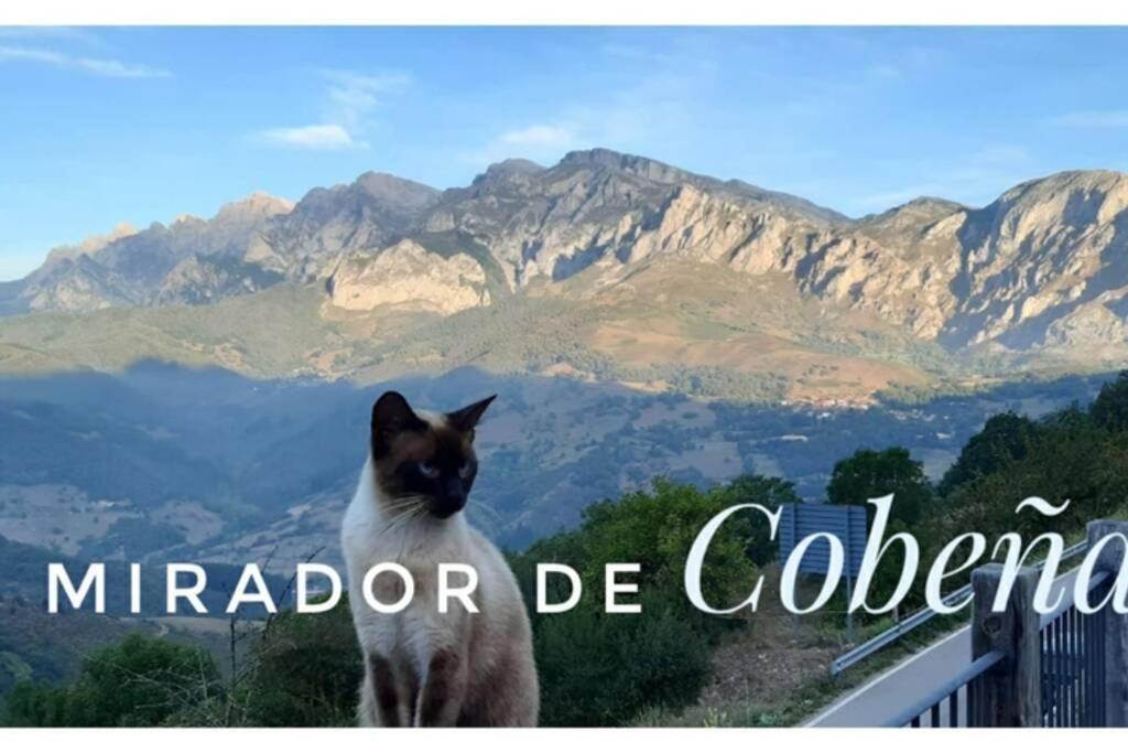 Апартаменты El Mirador De Cobena Ii. Aires De Liebana En Picos Экстерьер фото